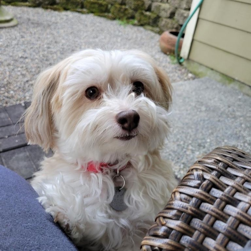 Meet your Posher, Suzanne